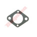 USZCZELKA GAŹNIKA TILLOTSON HS 19,3mm ( 16B-249 )