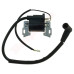 CEWKA-ISKROWNIK STIGA RV150 , SV40 , SV150 , M150 ( 118550126/0 , 18550126/0 , 2042-056 )