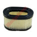 FILTR POW. B&S OHV600  ( 494586 , 497725 ) 98x67x56