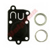MEMBRANA DO BRIGGS&STRATTON ( 5021H )