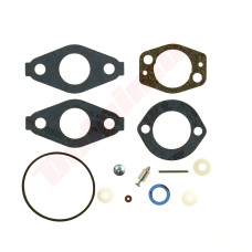 MEMBRANA DO BRIGGS&STRATTON ( 695157 )