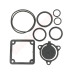 USZCZELKI POMPY WODY 2'' SET