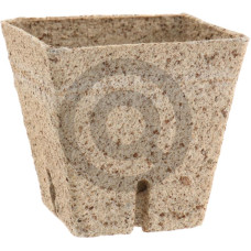 Ekologiczne doniczki na nasiona 