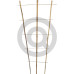 Trellis 