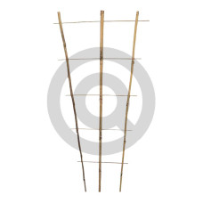 Trellis 