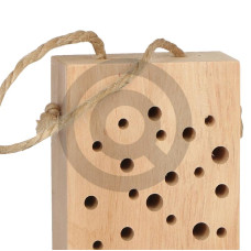 Bee hotel Silea 