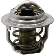 Termostat 