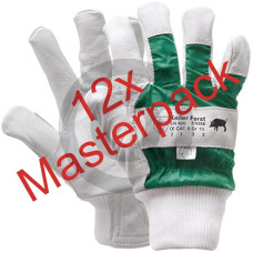 Rękawica leśna Rękawica leśna