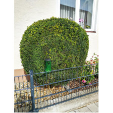 Pułapka na ćmy bukszpanowe, w zestawie z 