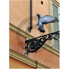 Kolce odstraszające gołębie Natural Control 