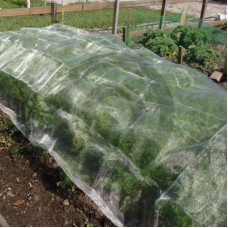 Siatka chroniąca przed owadami 