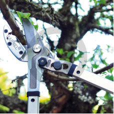 Sekator kowadełkowy A26A A26A