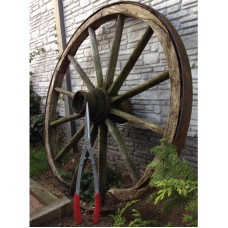 Nożyce do żywopłotu B1000L B1000L