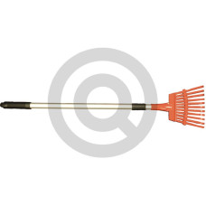 Grabki małe <b>Pozostałe informacje:</b><br><table border=