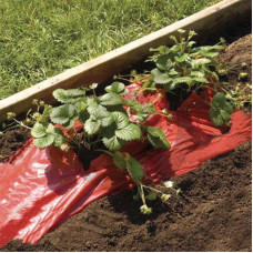 Folia do ochrony przed chwastami czerwona